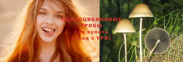 наркотики Карпинск