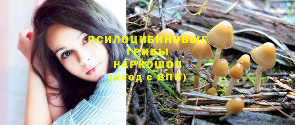 ECSTASY Киренск